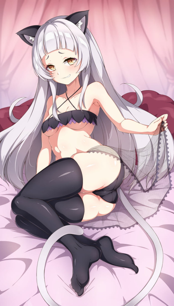 【二次】白髪、銀髪の女の子のエロ画像 Part４８