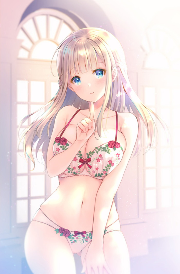 【二次】お姫様、お嬢様な感じの女の子のエロ画像ください Part４