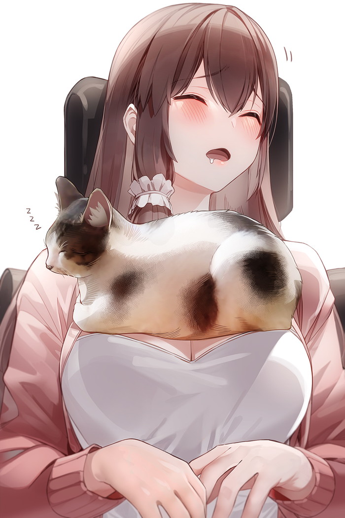 【二次】睡眠姦や寝ている女の子のエロ画像まとめ Part２