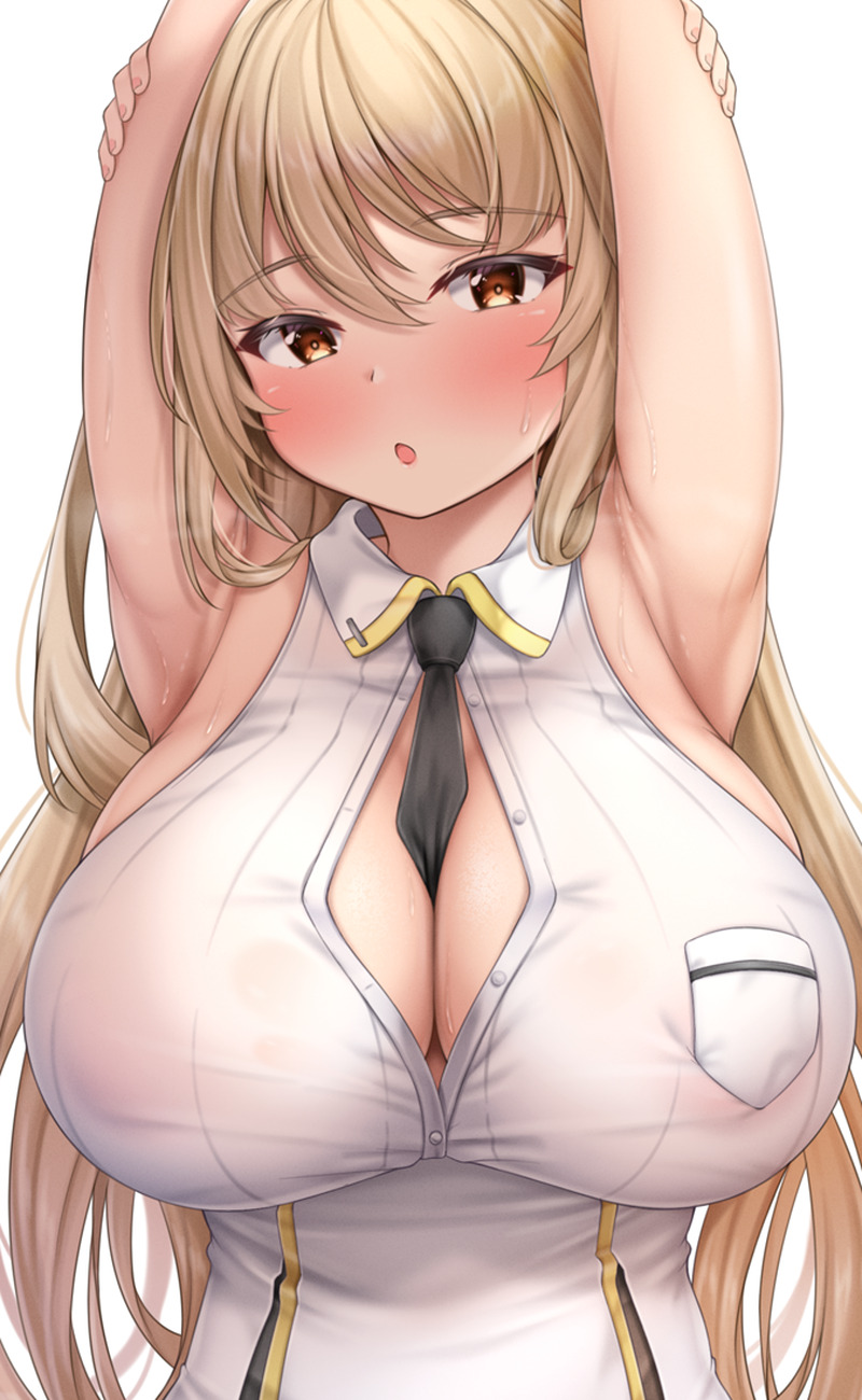 【二次】えちえちノースリーブ画像まとめ Part１３