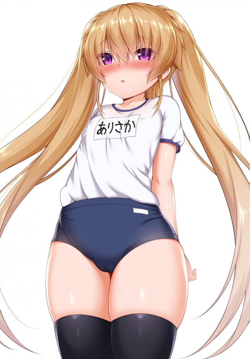 【二次】ブルマ、体操服の体育系エロ画像まとめ Part９