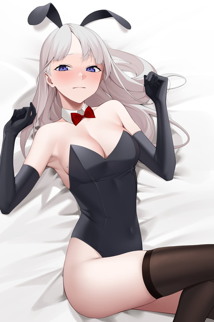 【二次】白髪、銀髪の女の子のエロ画像 Part５９