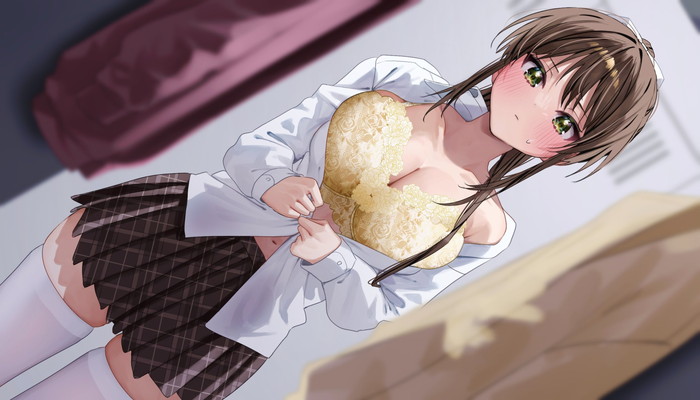 【二次】エッチで可愛いブラジャーを付けた女の子のエロ画像 Part５１