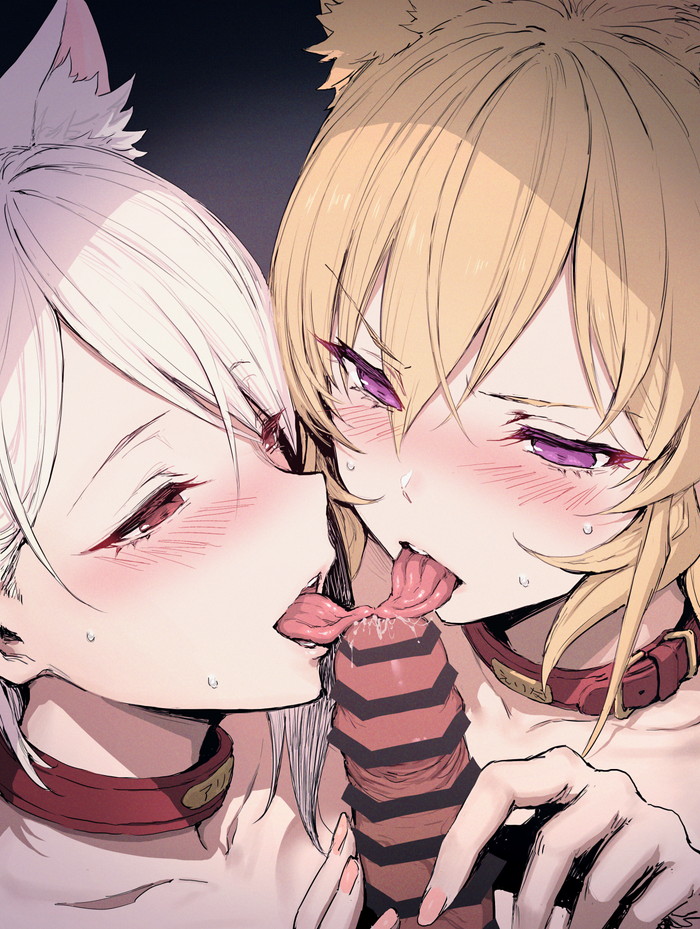【二次】フェラチオのエロ画像まとめ Part５