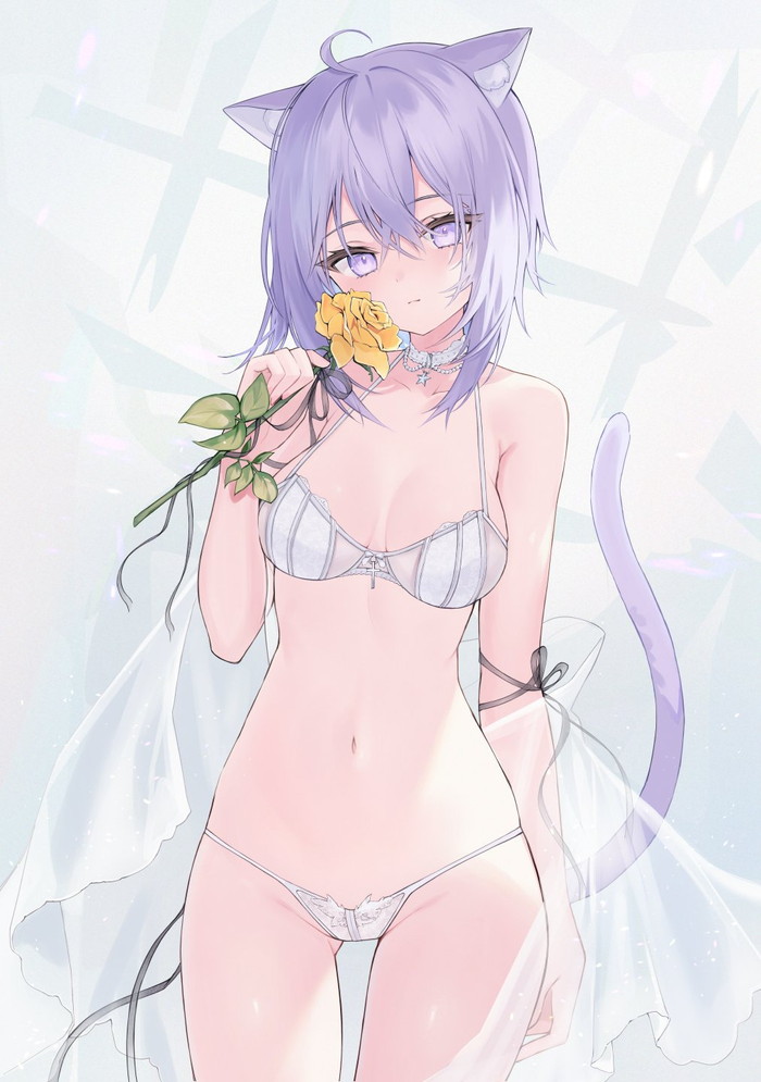 【二次】猫耳、狐耳などが生えたケモミミっ娘たちのエロ画像 Part８６