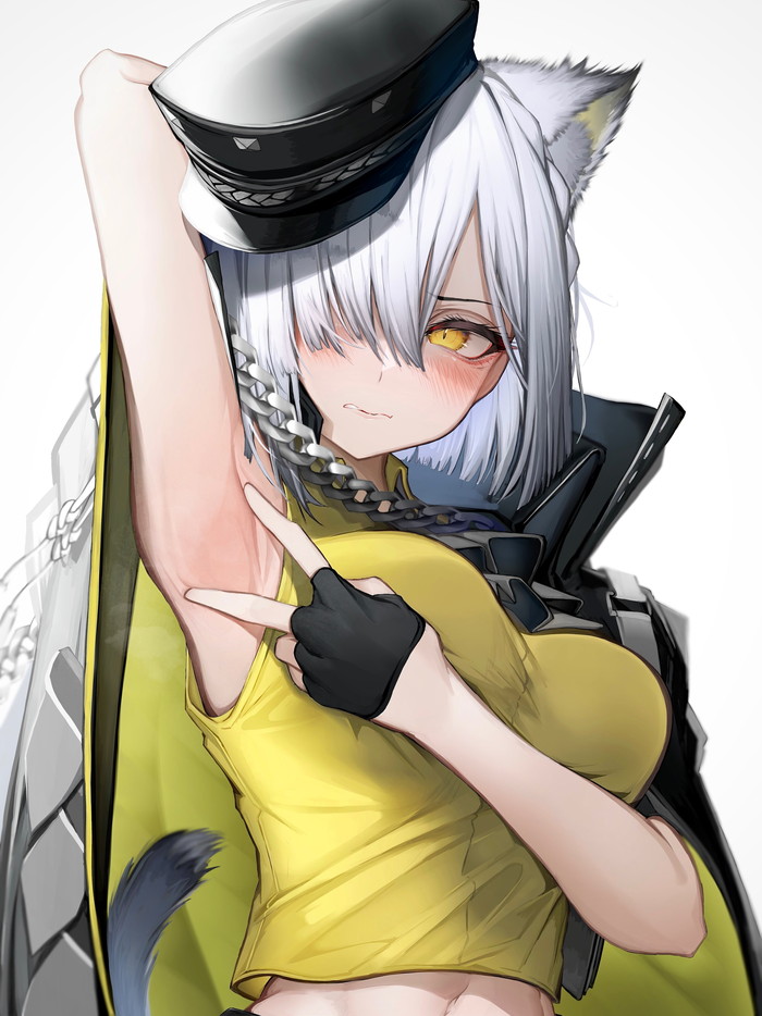 【二次】白髪、銀髪の女の子のエロ画像 Part６９
