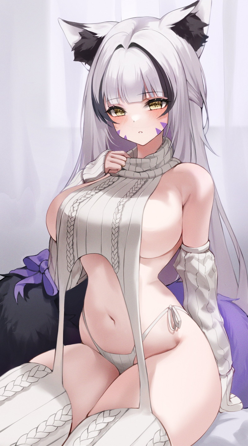 【二次】猫耳、狐耳などが生えたケモミミっ娘たちのエロ画像 Part１０５