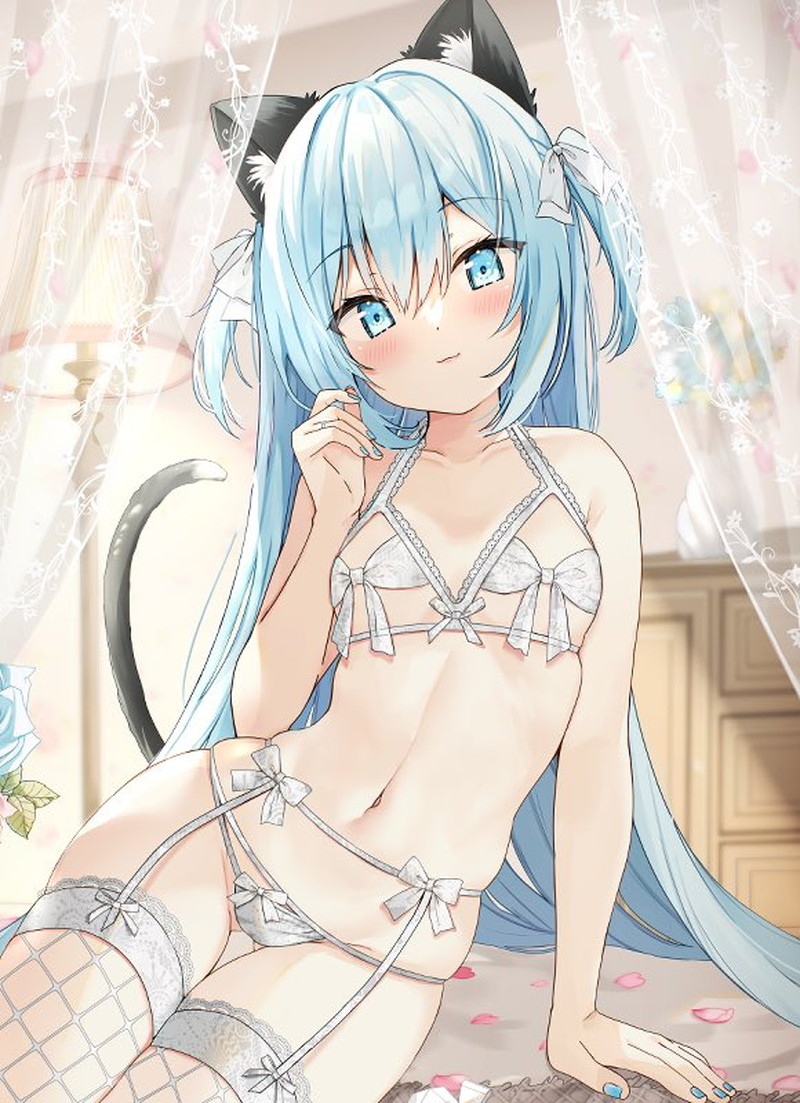 美しく描かれた綺麗系の二次微エロ画像 Part８４