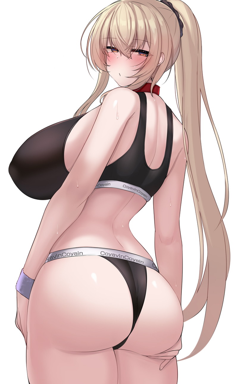 エッチな下着、ランジェリー二次エロ画像 Part１２