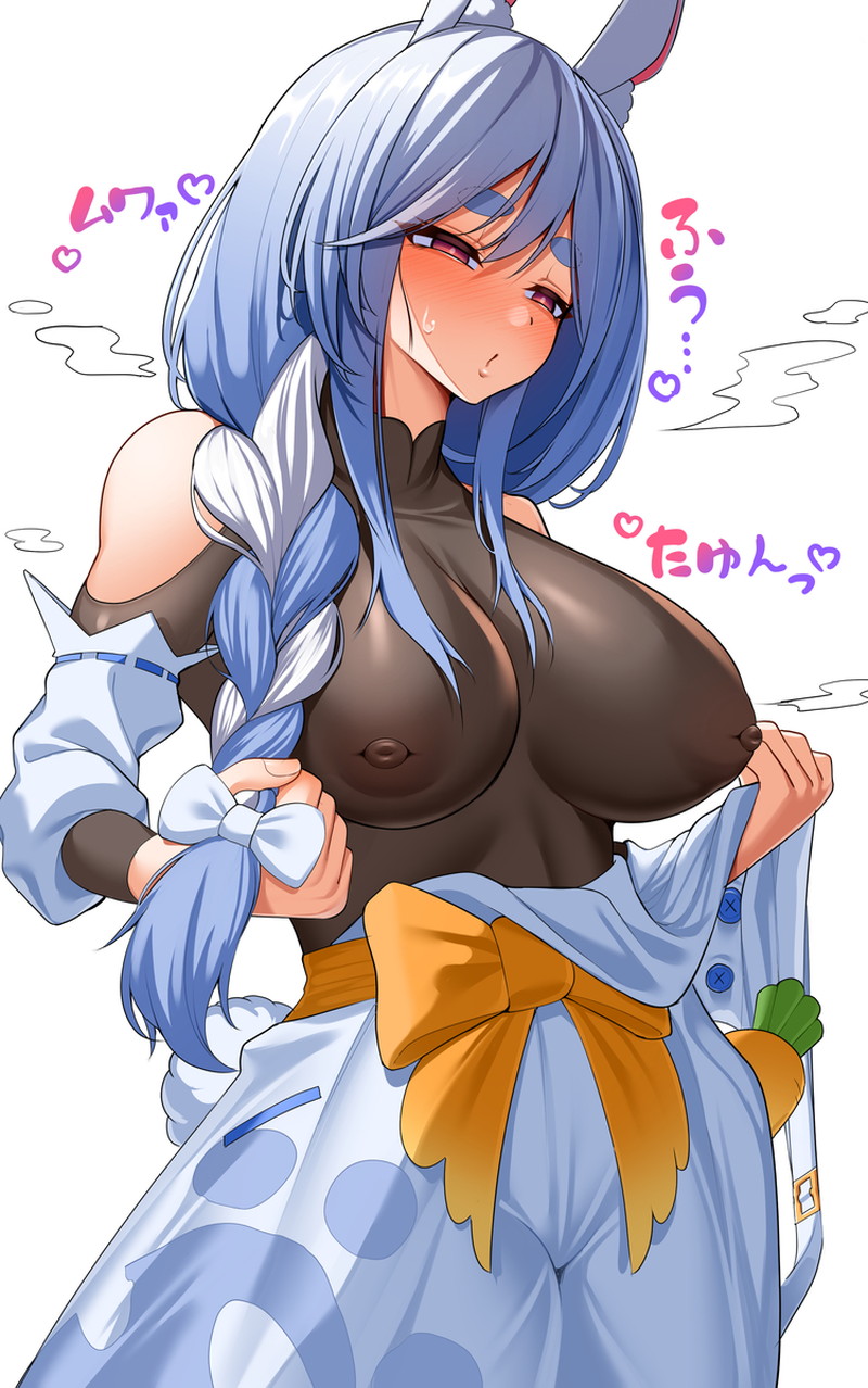 【二次】陥没乳首のエロ画像まとめ Part９