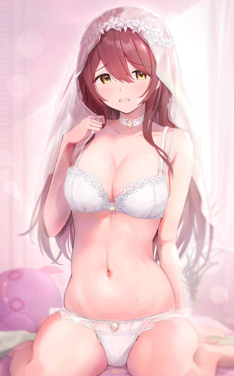 【二次】ウエディングドレス、セクシードレスのエロ画像 Part１７