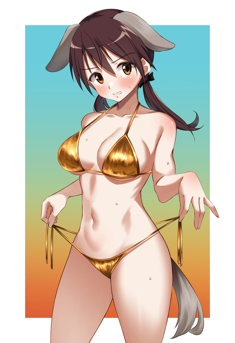 二次元の水着、ビキニ画像まとめ Part６９