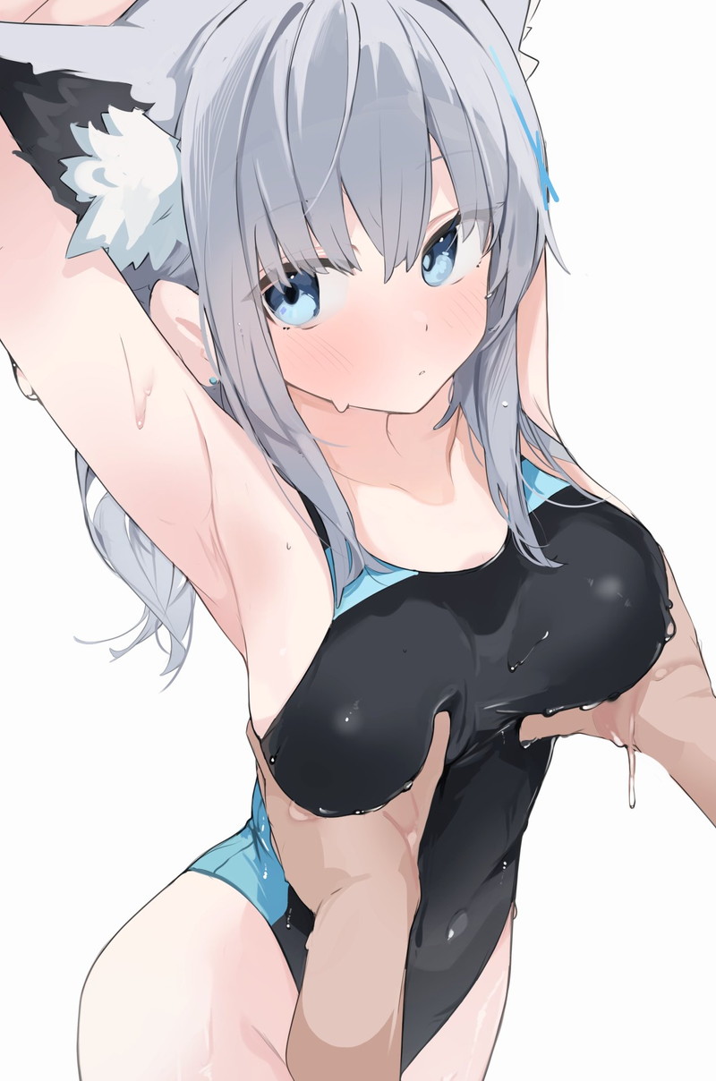 【二次】白髪、銀髪の女の子のエロ画像 Part７８