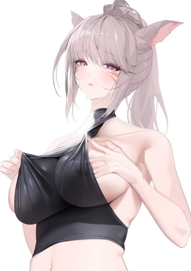 【二次】衣服に包まれた着衣おっぱいに興奮するエロ画像 Part２２