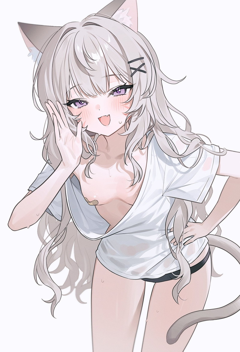 【二次】ニップレス、絆創膏で乳首とオマンコを隠したエロ画像 Part３０