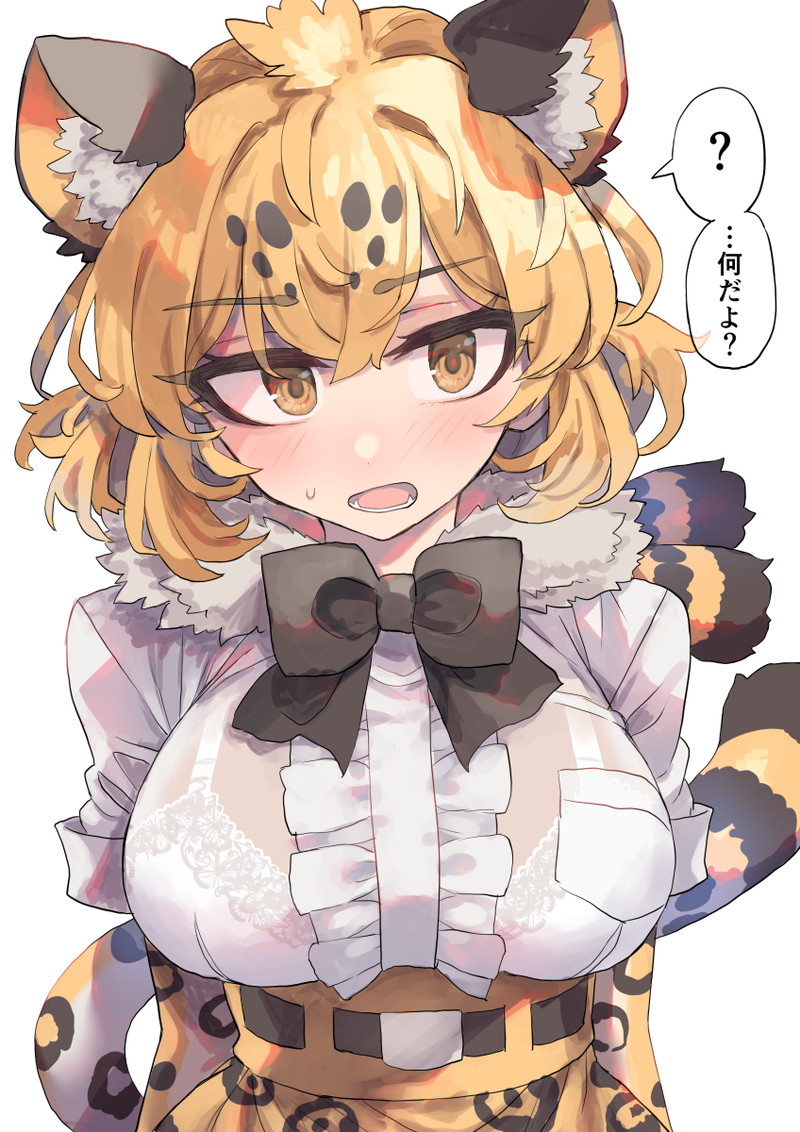 【二次】ケモミミの女の子やお姉さんたちのエロ画像 Part１６