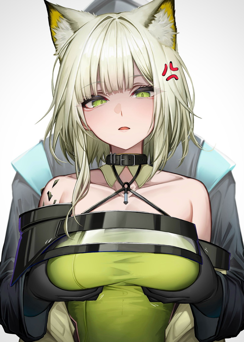 【二次】ケモミミの女の子やお姉さんたちのエロ画像 Part１７
