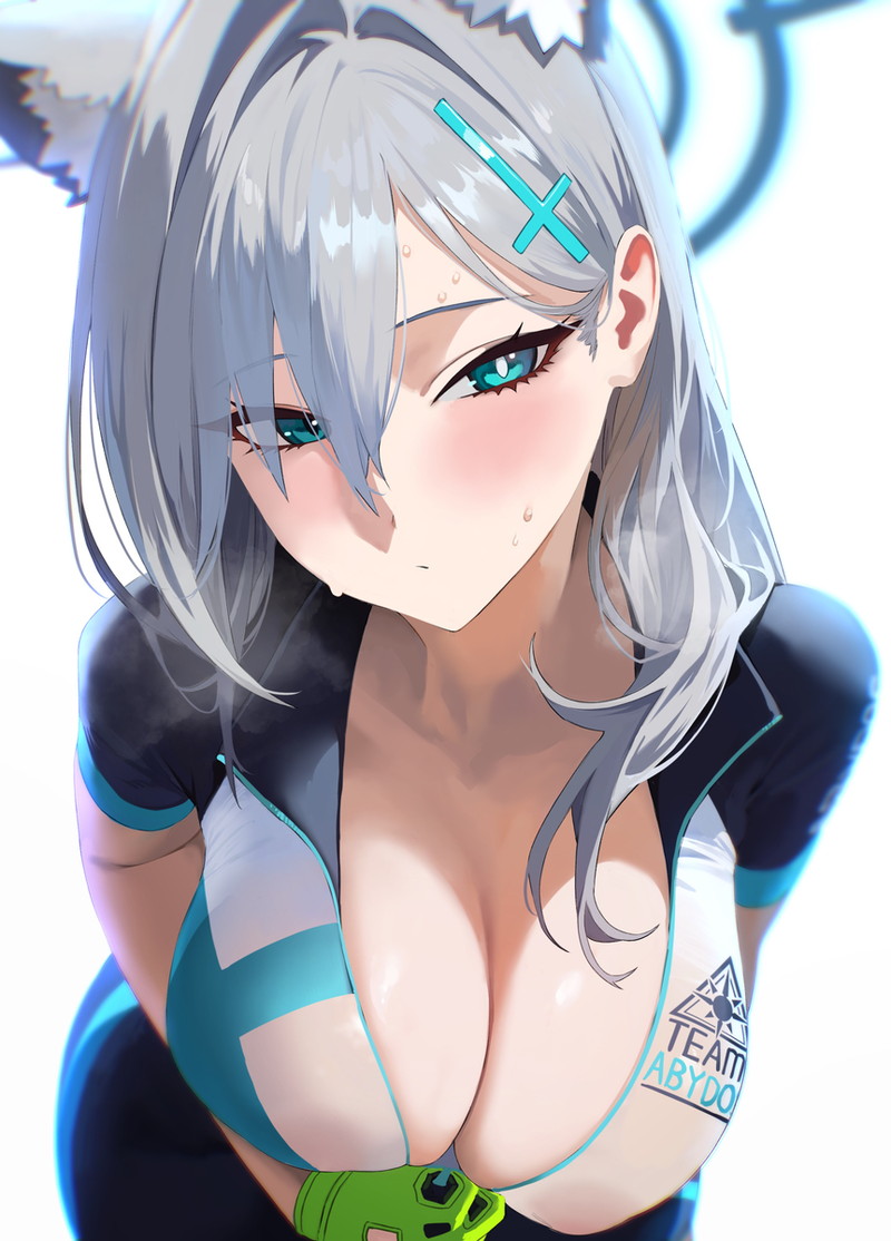 【二次】胸の谷間がエロい格好の女の子たちのエロ画像 Part１４