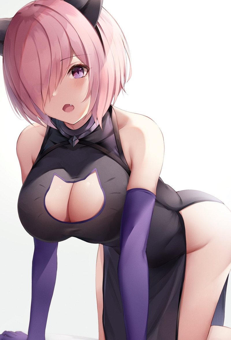 【二次】胸の谷間がエロい格好の女の子たちのエロ画像 Part１４