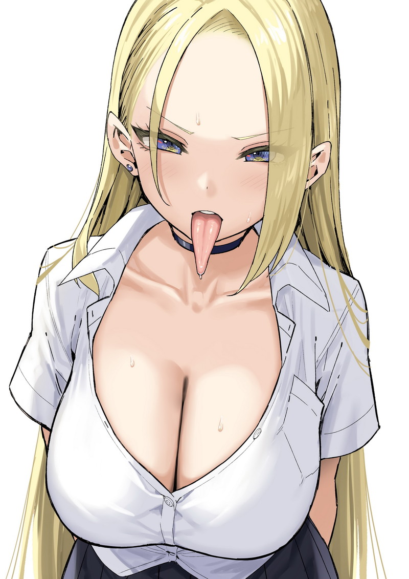 【二次】胸の谷間がエロい格好の女の子たちのエロ画像 Part１４