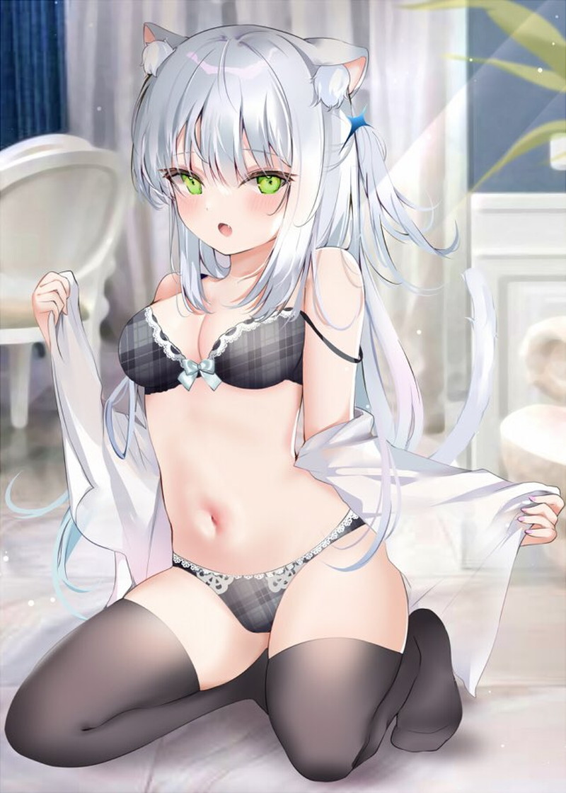 エッチな下着、ランジェリー二次エロ画像 Part１９
