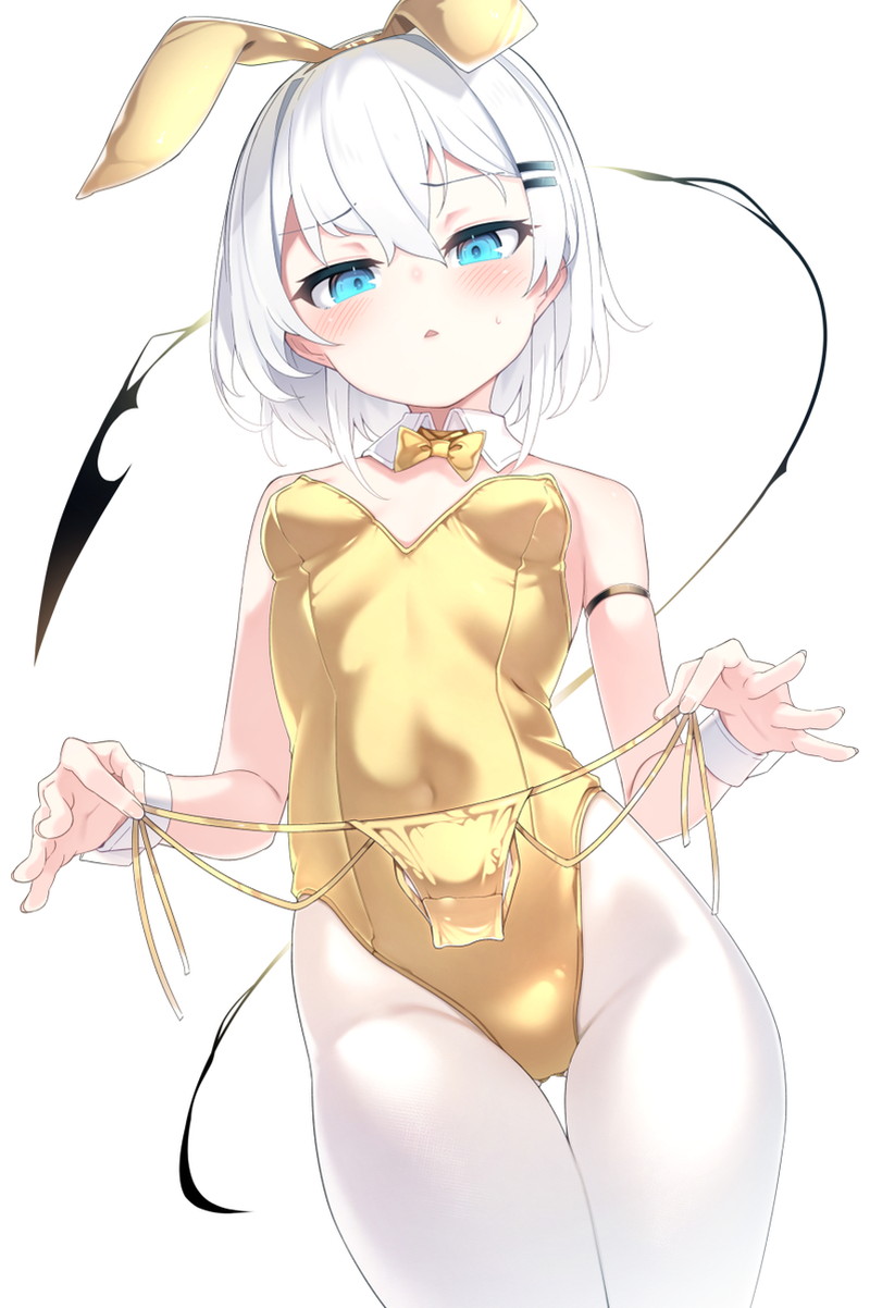 【二次】白髪、銀髪の女の子のエロ画像 Part８０
