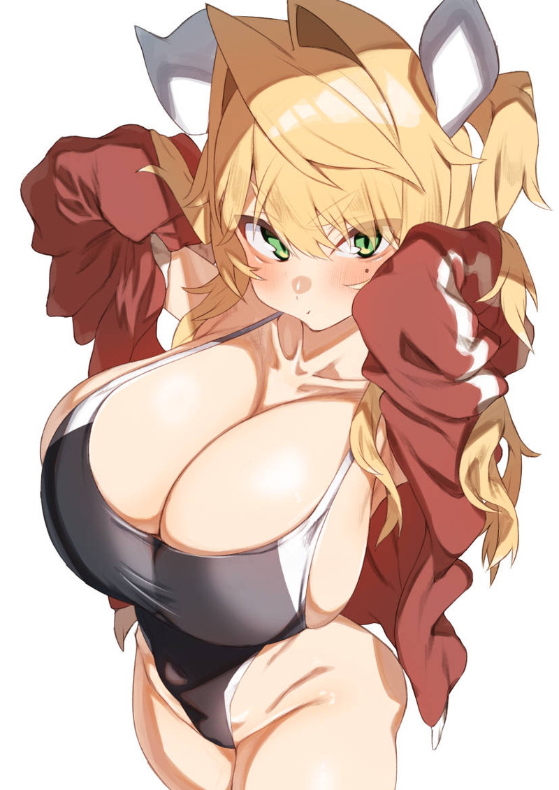 【二次】抜けるデカ乳、爆乳エロ画像まとめ Part１９