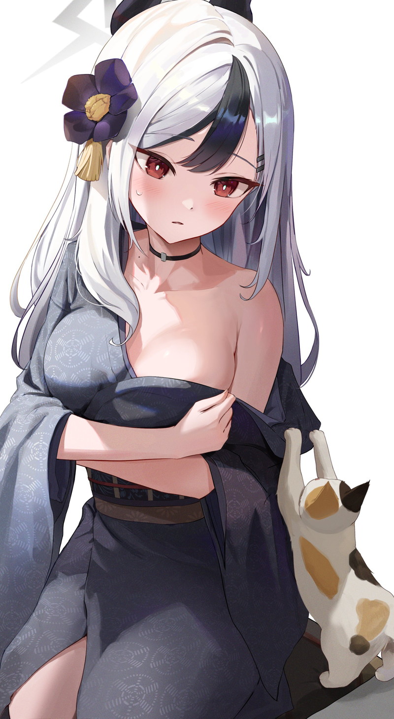 【二次】扇情的なはだけ、脱げかけエロ画像 Part３９