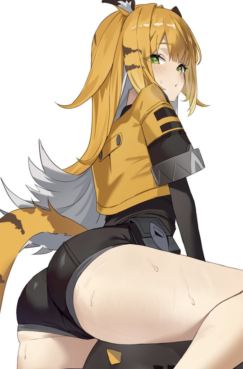 【二次】猫耳、狐耳などが生えたケモミミっ娘たちのエロ画像 Part１２９