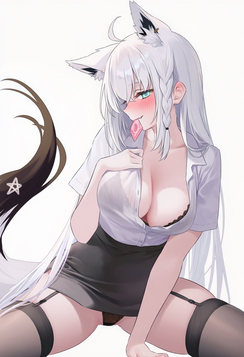 【二次】白髪、銀髪の女の子のエロ画像 Part８４
