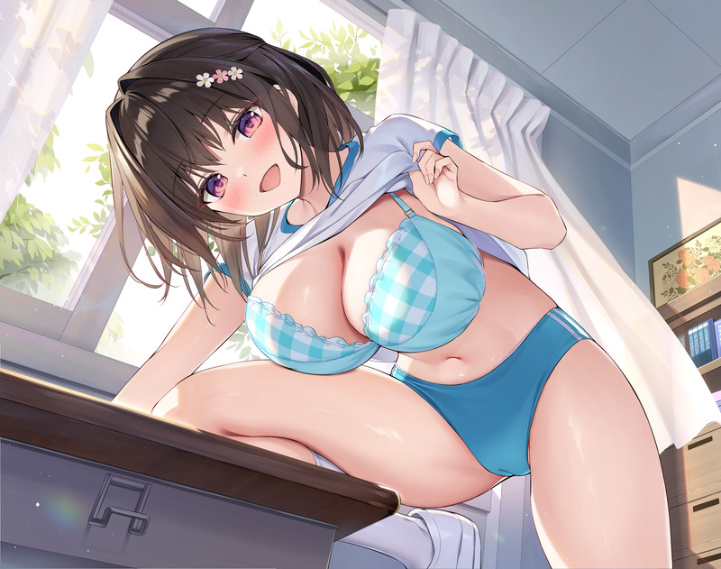 【二次】自分で服を捲って下着や身体を見せるたくし上げエロ画像 Part１６