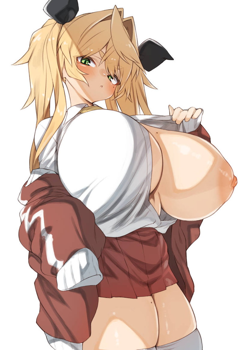 乳首ポロリ、おっぱい丸出しの二次エロ画像 Part２７