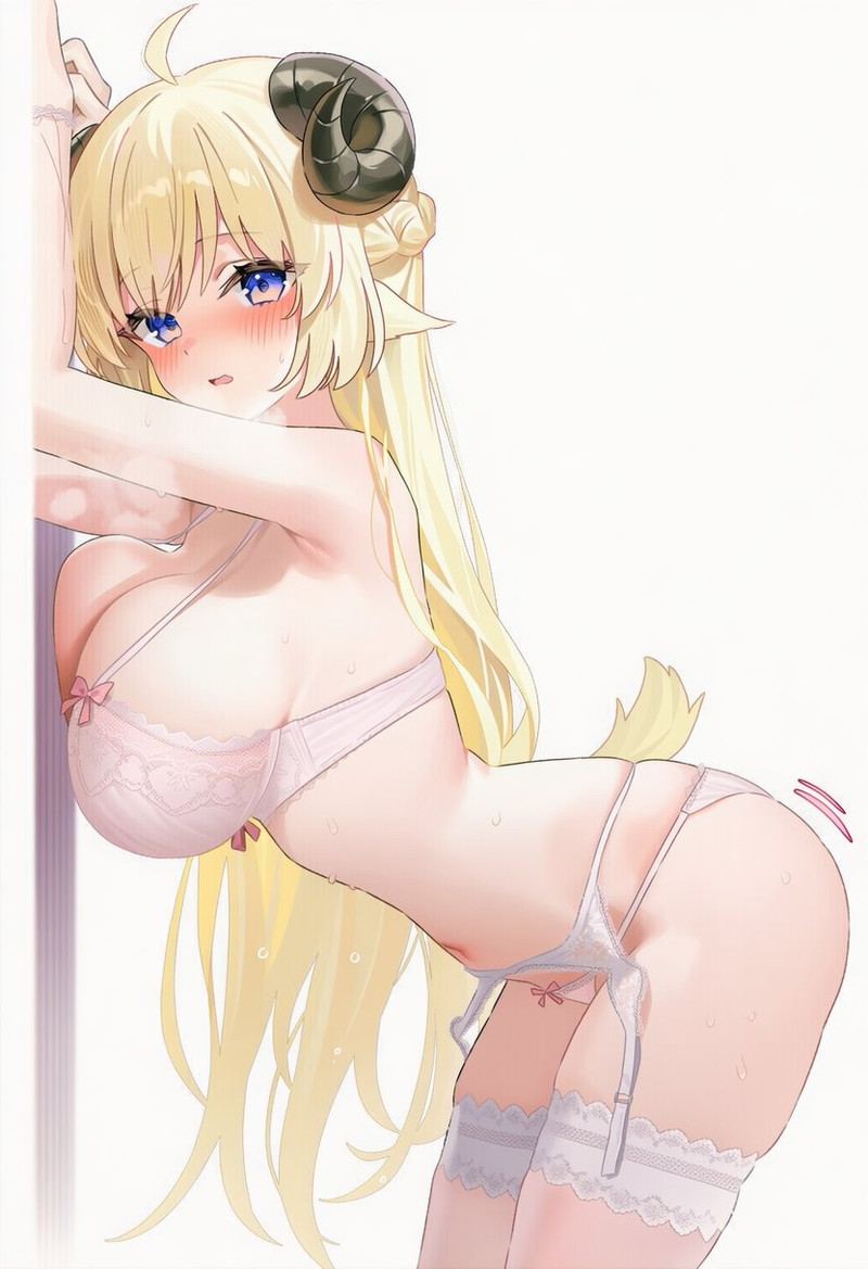 エッチな下着、ランジェリー二次エロ画像 Part２１