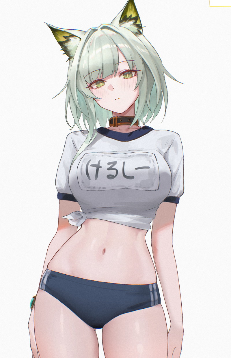 【二次】猫耳、狐耳などが生えたケモミミっ娘たちのエロ画像 Part１３０