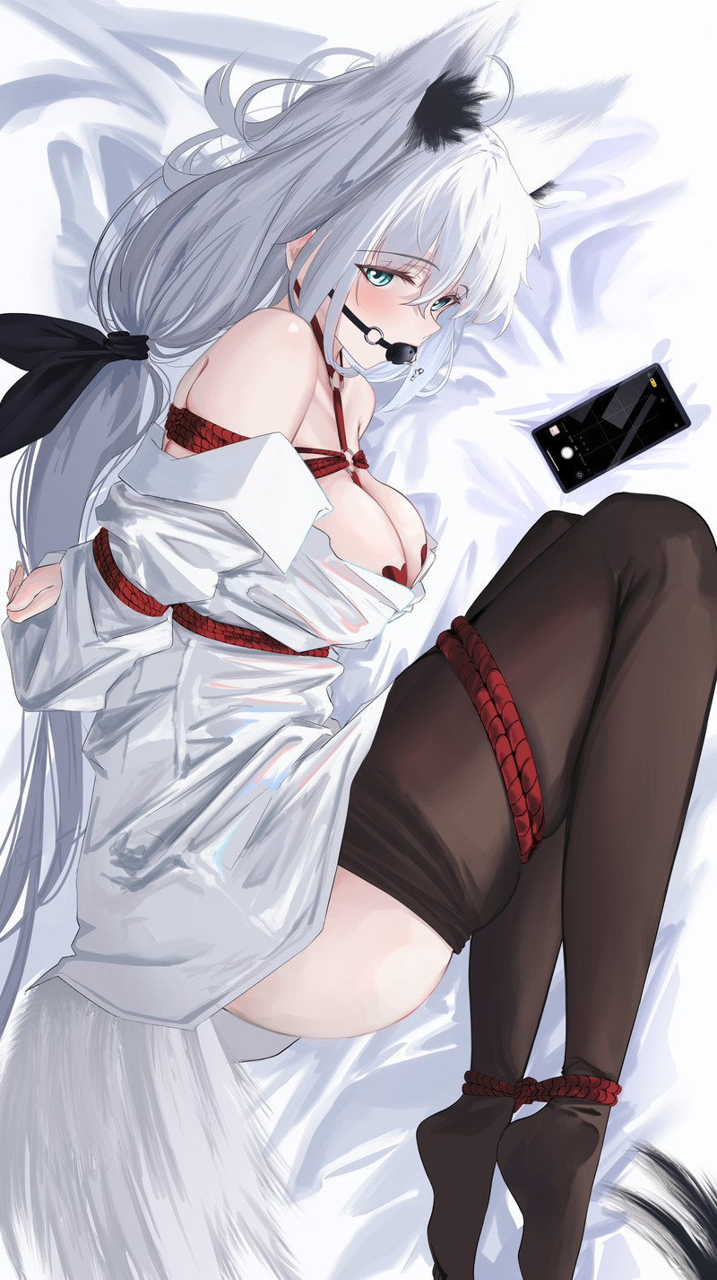 【二次】白髪、銀髪の女の子のエロ画像 Part８５