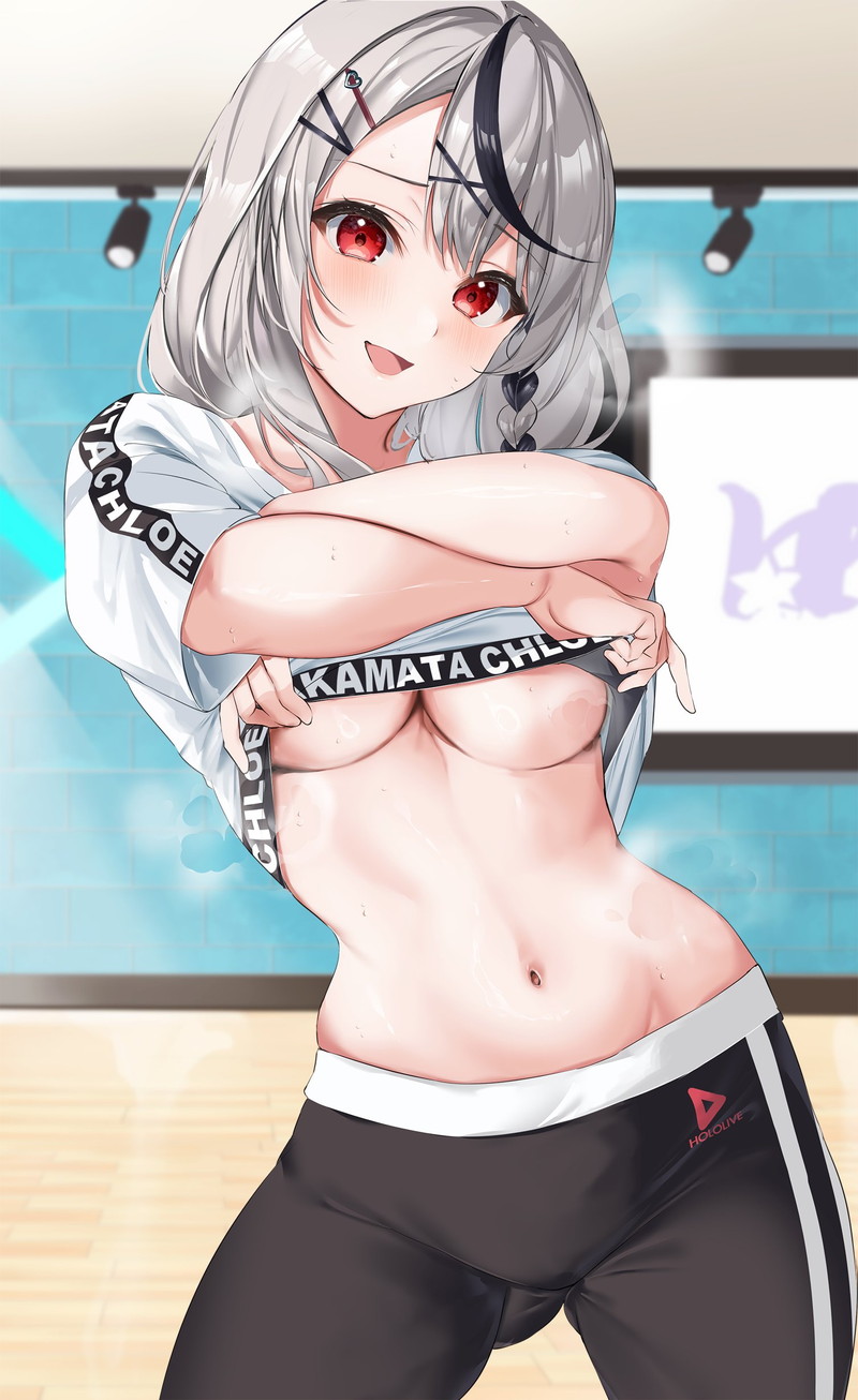 【二次】白髪、銀髪の女の子のエロ画像 Part８５