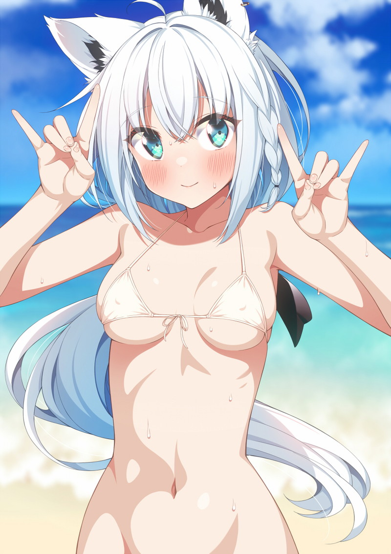 【二次】白髪、銀髪の女の子のエロ画像 Part８６