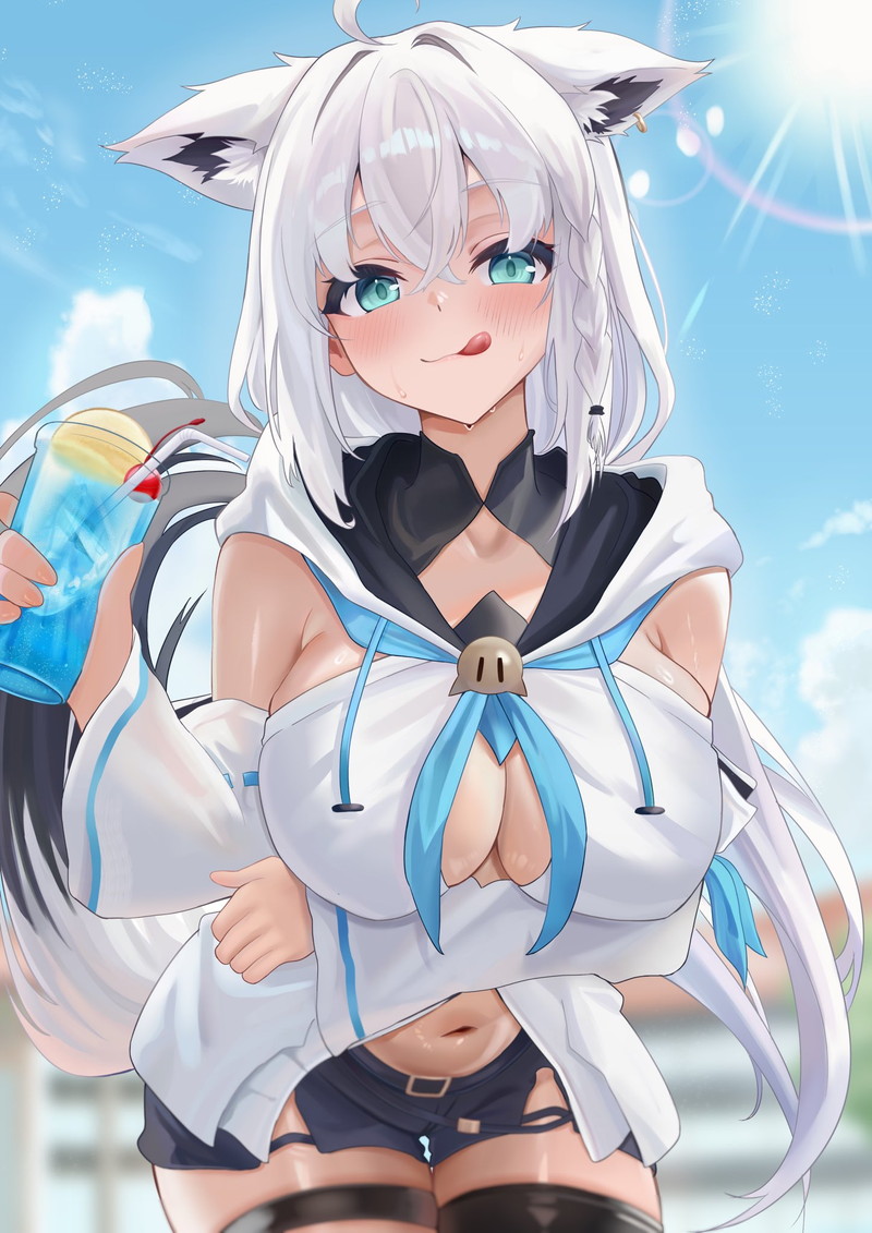 【二次】猫耳、狐耳などが生えたケモミミっ娘たちのエロ画像 Part１３３