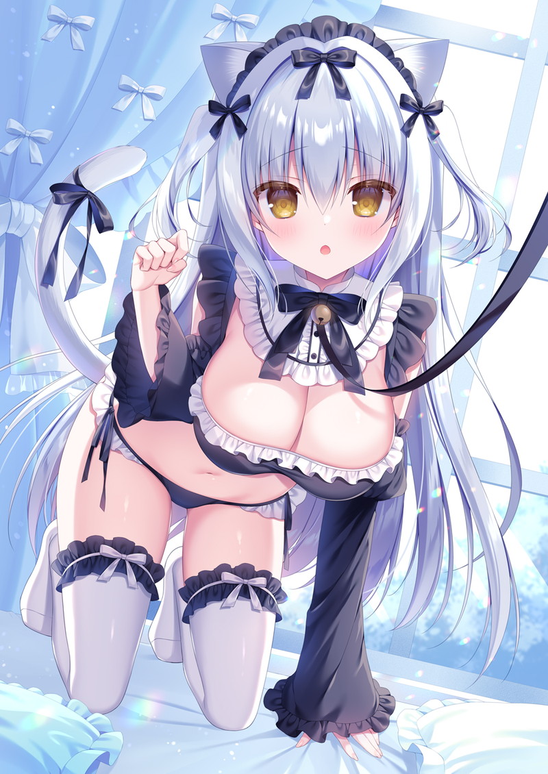 【二次】胸の谷間がエロい格好の女の子たちのエロ画像 Part２４