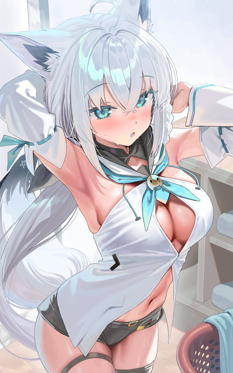 【二次】猫耳、狐耳などが生えたケモミミっ娘たちのエロ画像 Part１３５