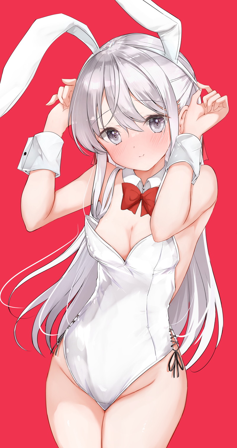 【二次】白髪、銀髪の女の子のエロ画像 Part８７