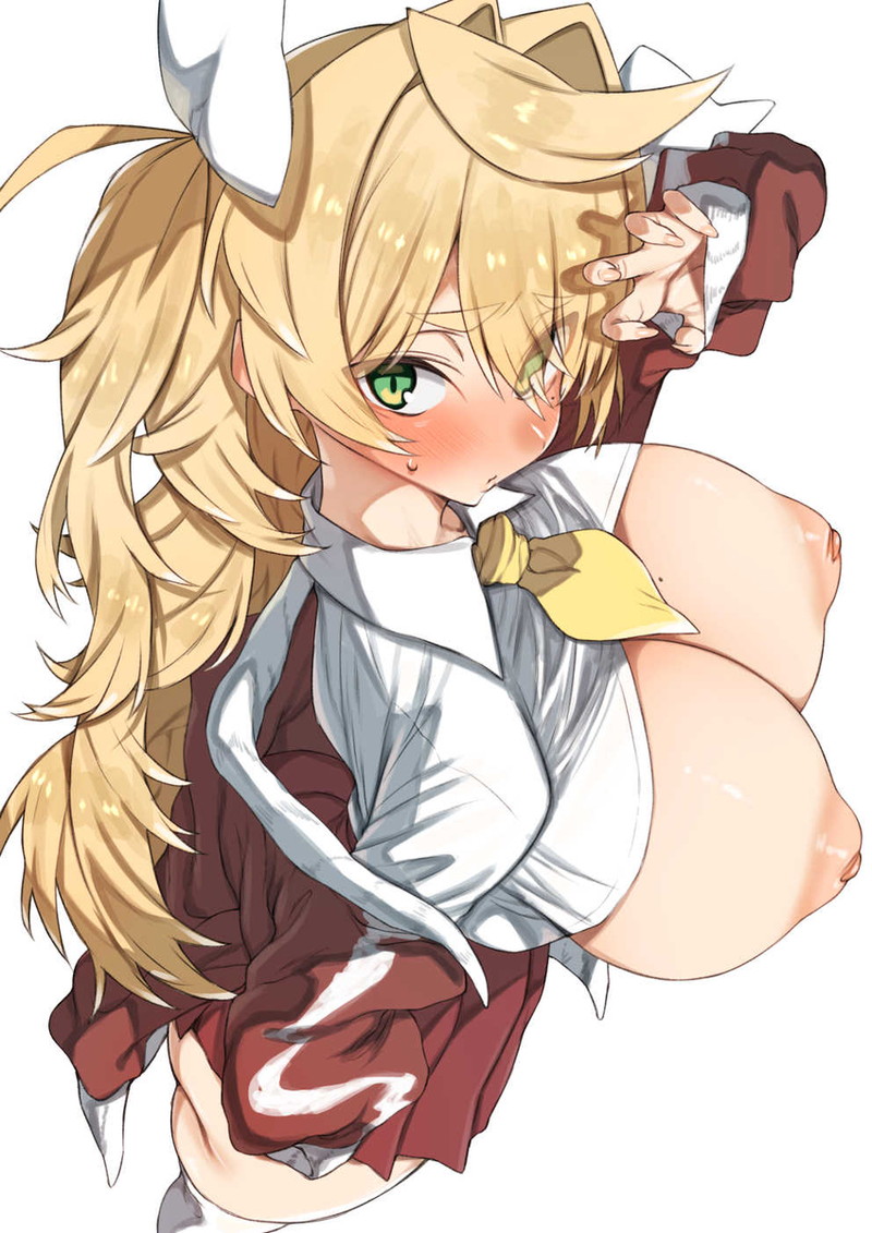 【二次】陥没乳首のエロ画像まとめ Part１４