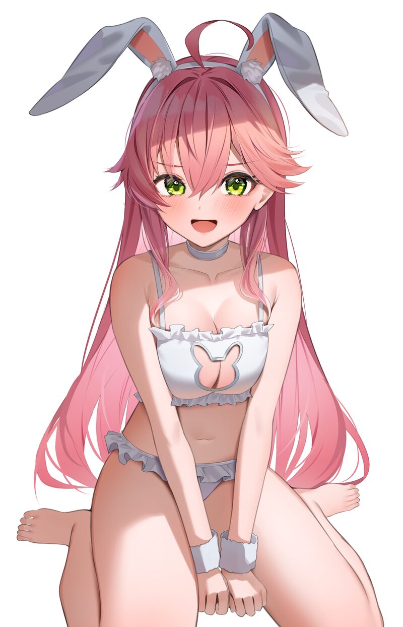 【二次】バニーガールの格好の女の子のエロ画像まとめ Part８０