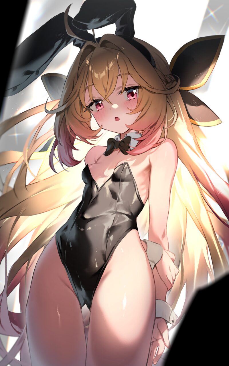 【二次】バニーガールの格好の女の子のエロ画像まとめ Part８０