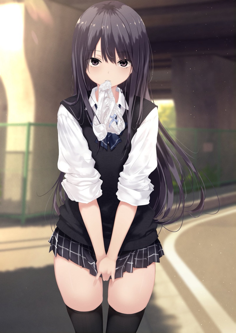 【二次】パンツとお尻が見えそうなミニスカエロ画像 Part１４