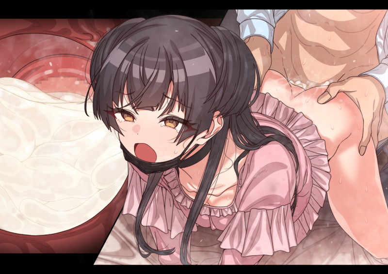 【二次】生ハメ、種付け、中出しエロ画像まとめ Part２９