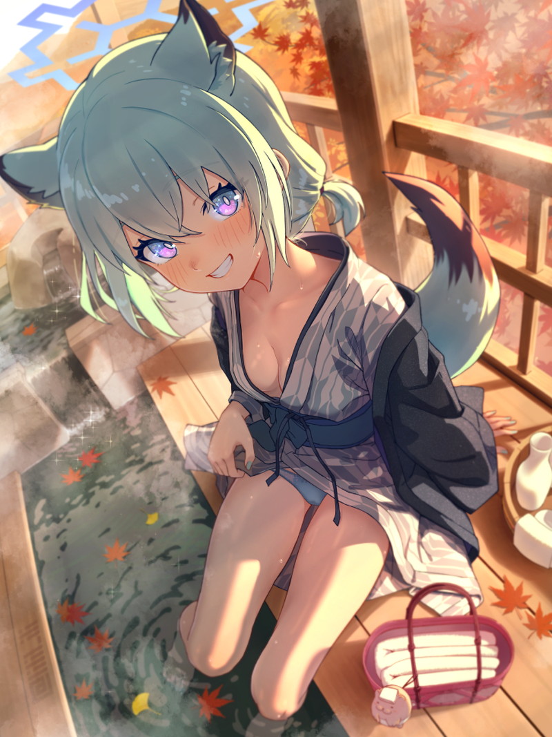 【二次】猫耳、狐耳などが生えたケモミミっ娘たちのエロ画像 Part１４０